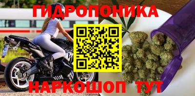 гашик Кулебаки