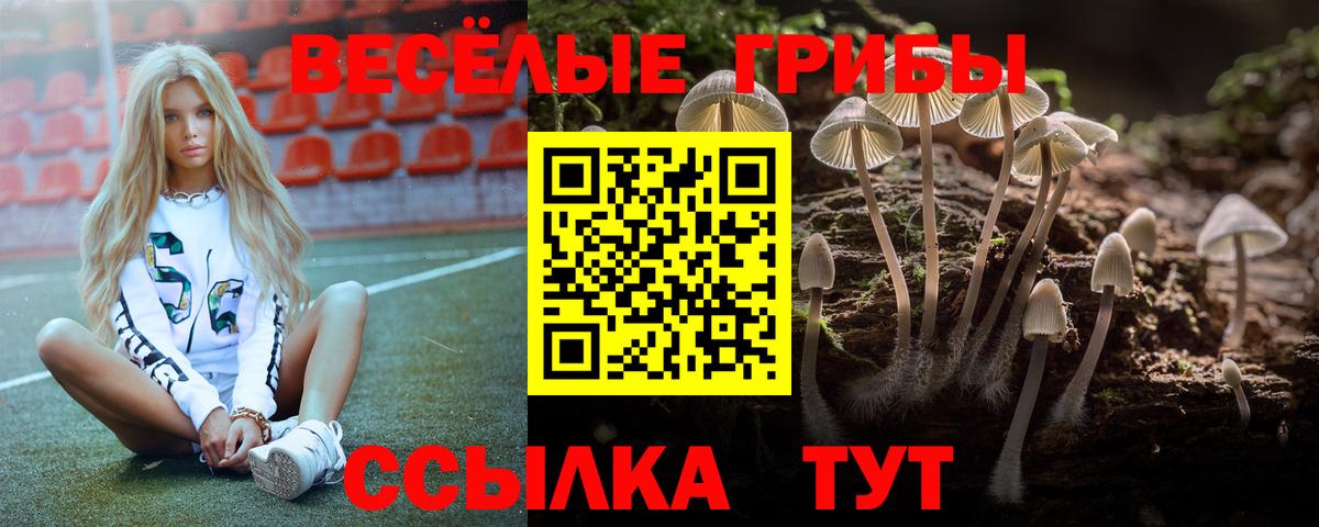 Псилоцибиновые грибы мухоморы  Вход с VPN  Южноуральск 